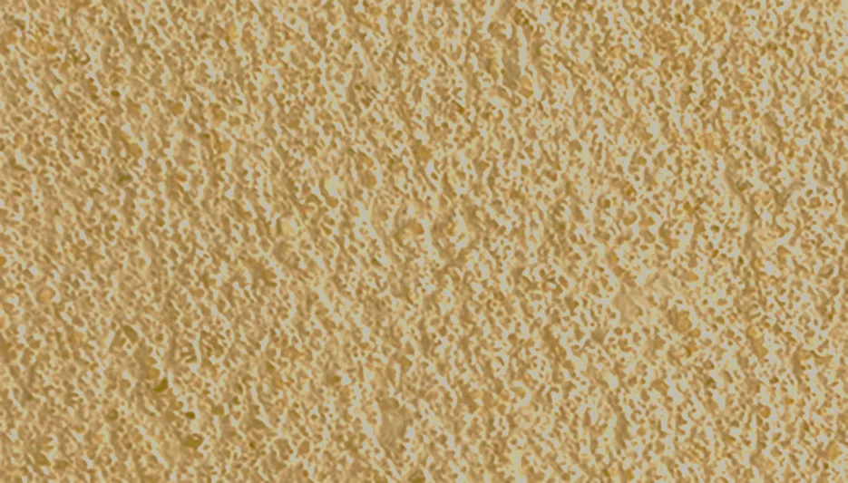 Honey Cotswold mortar colour